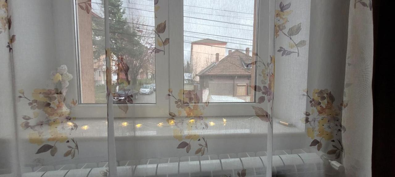 Apartament Garsoniera C&L Petroszany Zewnętrze zdjęcie